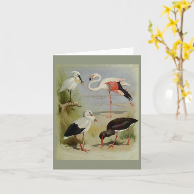 Carte British Birds, Illustrations D'Art (Fleur jaune)