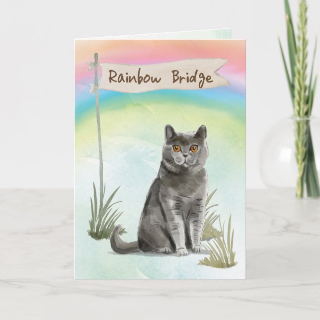 Carte British Short Hair Cat Pet Sympathie sur Rainbow (Devant)