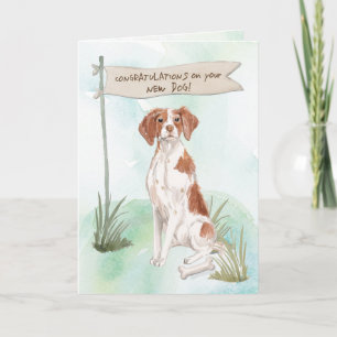 Carte Brittany Félicitations pour votre nouveau chien