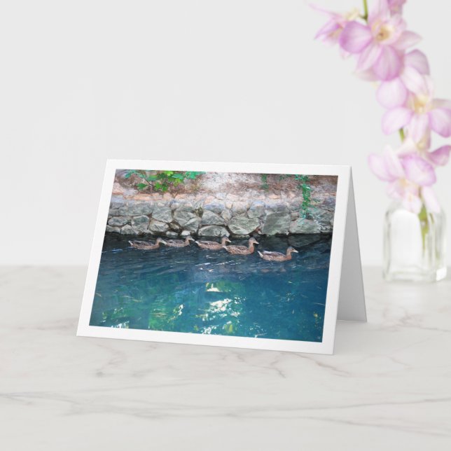 Carte Brood of Ducks in Majestic Blue Water (Orchidée)