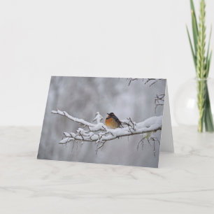 Carte Brosse variée braver la neige