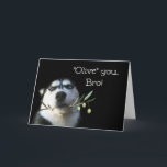 Carte Brother Happy Birthday Card Funny<br><div class="desc">C'est une carte d'anniversaire joyeuse pour ton frère.  Un beau Husky tenant une branche d'olivier.  Dis à ton frère,  "Olive" (je t'aime) pour son anniversaire !</div>