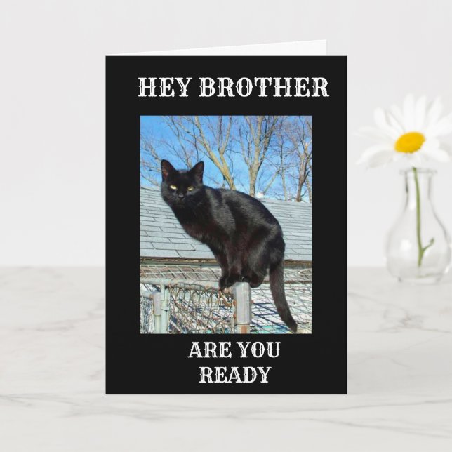 CARTE BROTHER IS "40" DIT CHAT NOIR FUNNY (Petite plante)