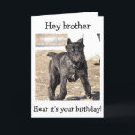 CARTE BROTHER-ITALIAN CANE CORSO<br><div class="desc">THIS ITALIAN CANE CORSO IS READY TO SAY "JOYEUX ANNIVERSAIRE DE YOUR BROTHER !"</div>