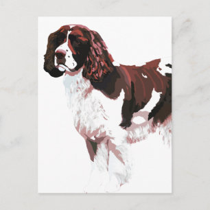 Carte Brown et blanc Springer Spaniel
