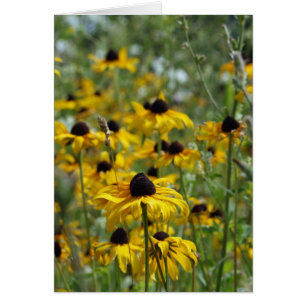 Carte Brown Eyed Susan