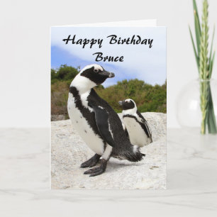 Carte Bruce Happy Birthday African Penguins Humour Card