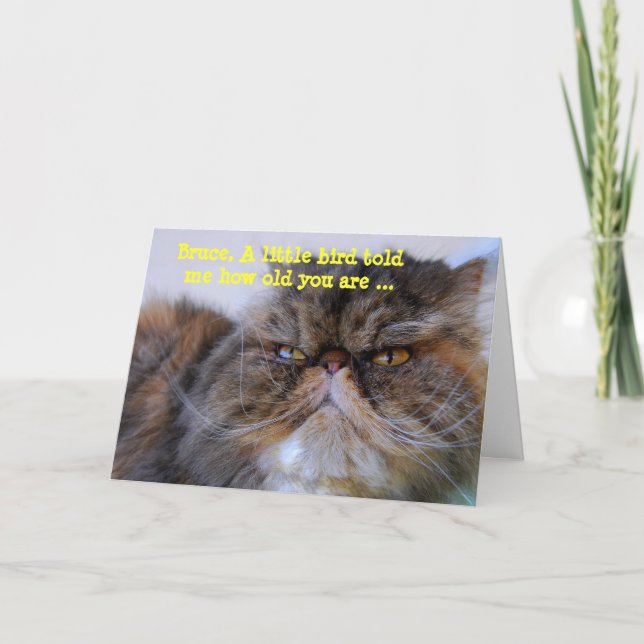 Carte Bruce Joyeux Humour d'anniversaire Calico Persian  (Devant)
