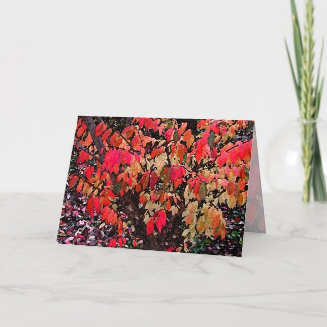 Carte Brûler la Journée des mères de Bush (Devant)