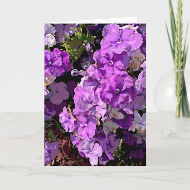 Carte Brunfelsia (Devant)