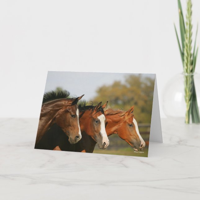 Carte BTtrois quarts de chevaux en tête (Devant)