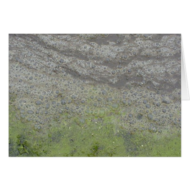 Carte Bubblescum (Devant horizontal)