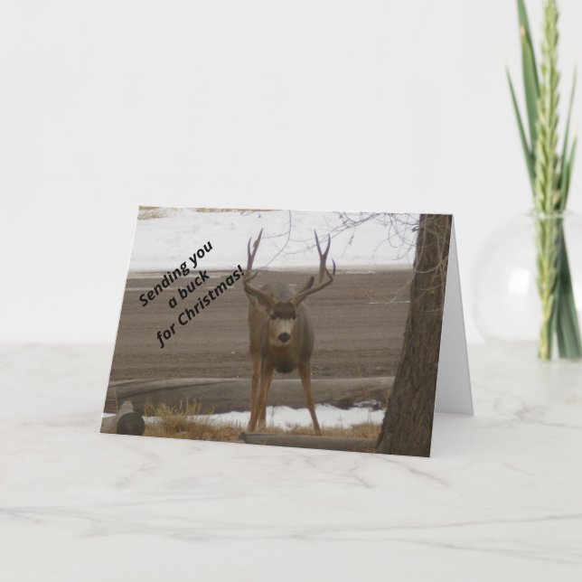 Carte Buck For Christmas Grey Card (Devant)