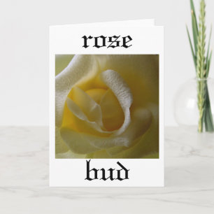Carte Bud rose