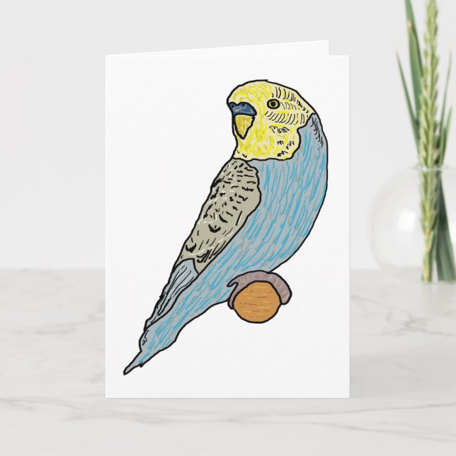 Carte Budgie (Devant)