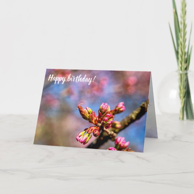 Carte Buds Sakura Cherry Tree. Début Du Printemps (Devant)