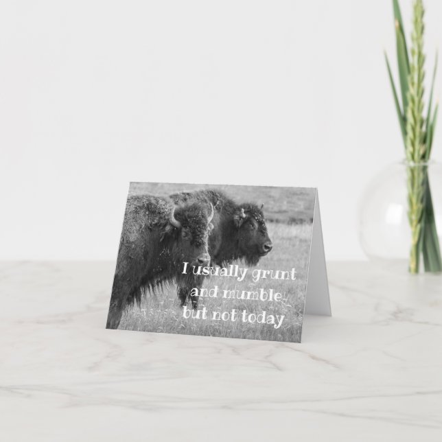 CARTE BUFFALO CHANTEUR ***ANNIVERSAIRE HEUREUX*** (Devant)