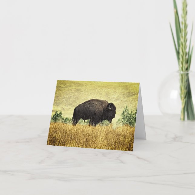 Carte Buffalo du Montana (Devant)