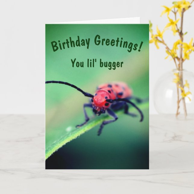 Carte Bug Avec Attitude Mignonne Anniversaire (Fleur jaune)