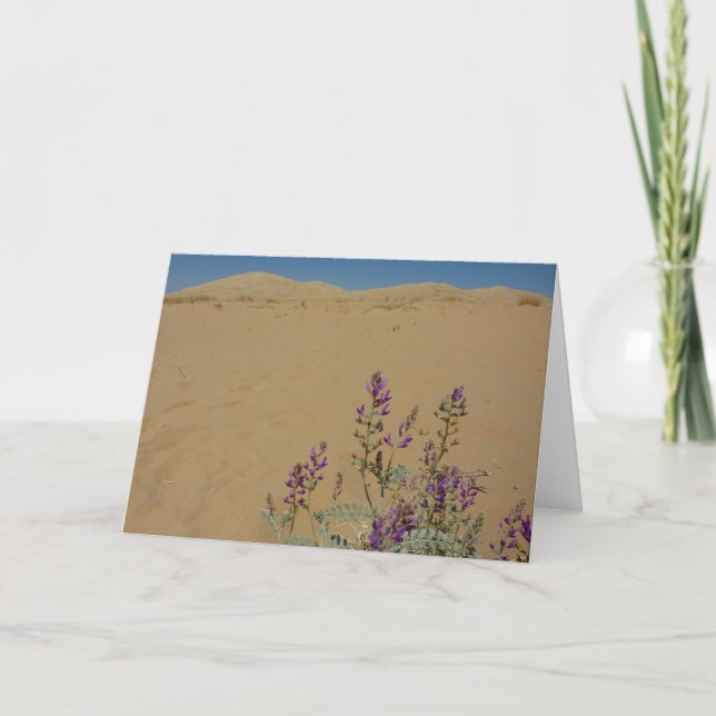 Carte Buisson d'indigo du Mojave et dunes de Kelso (Devant)