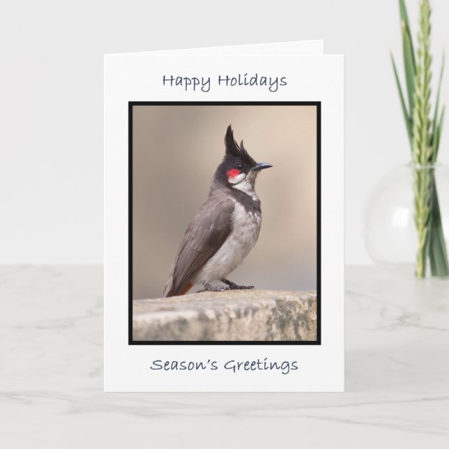 Carte Bulbul indien (Devant)