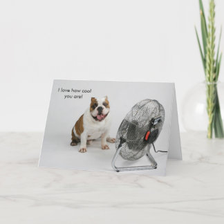 Carte Bulldog Birthday card