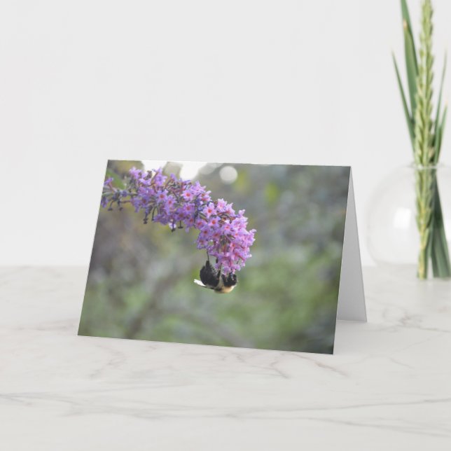 Carte Bumble Bee (Devant)