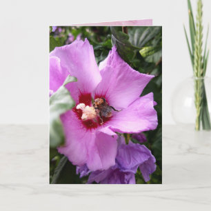 Carte Bumblebebe sur la fleur d'Hibiscus