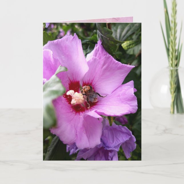 Carte Bumblebebe sur la fleur d'Hibiscus (Devant)