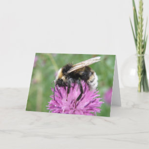 Carte Bumblebee on a Thistle Greeting Card