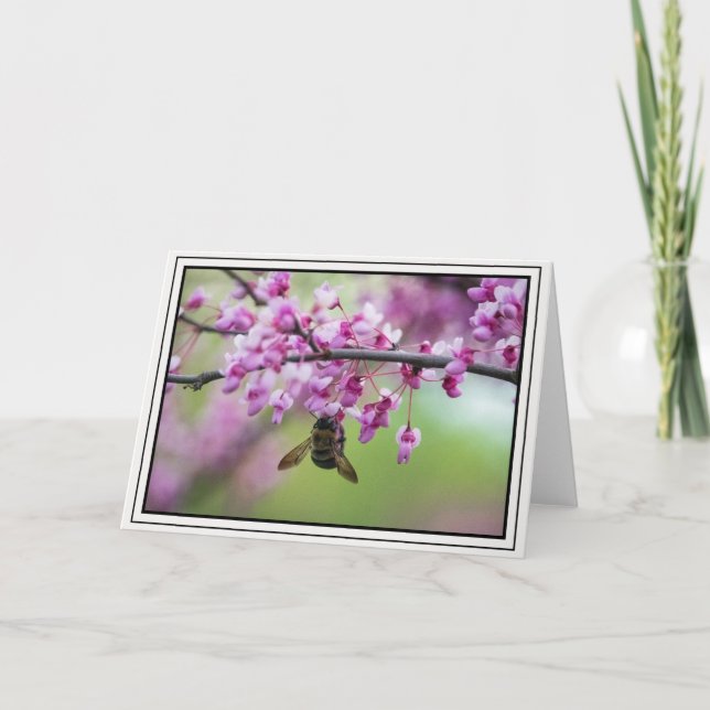 Carte Bumblebee sur Redbud Blossoms (Devant)