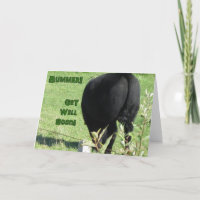 Bummer-Get Bien Bientôt