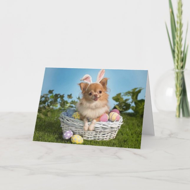 Carte Bunny de Pâques Chihuahua (Devant)