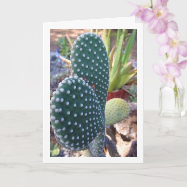 Carte Bunny Ears Cactus Plante (Orchidée)