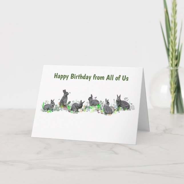 Carte Bunny Meadow (Anniversaire) (Devant)