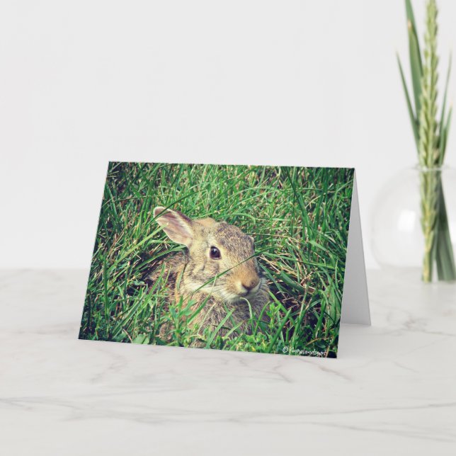 Carte Bunny Toutes Les Occasions (Devant)