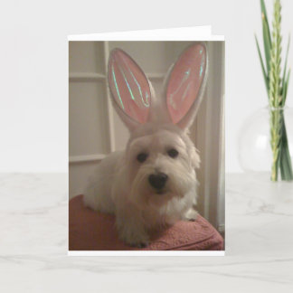 Carte Bunny Westhighland