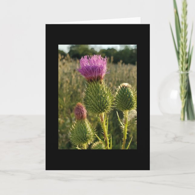 Carte Burdock Thistle (Devant)