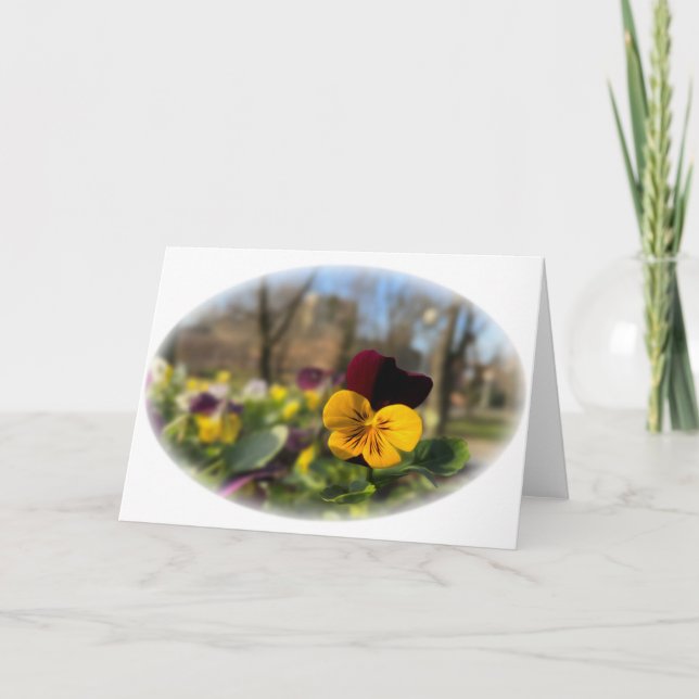 Carte Burgundy yellow pany (Devant)