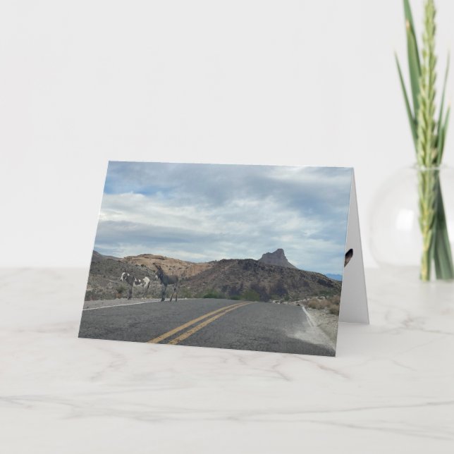 Carte burros on route 66 greeting card (blank inside) (Devant)