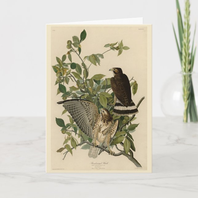 Carte Buse à grande aile des oiseaux d'Amérique d'Audubo (Devant)