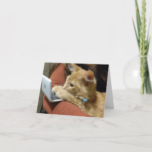 CARTE BUSY KITTY VOUS DIT ***HEUREUX ANNIVERSAIRE**