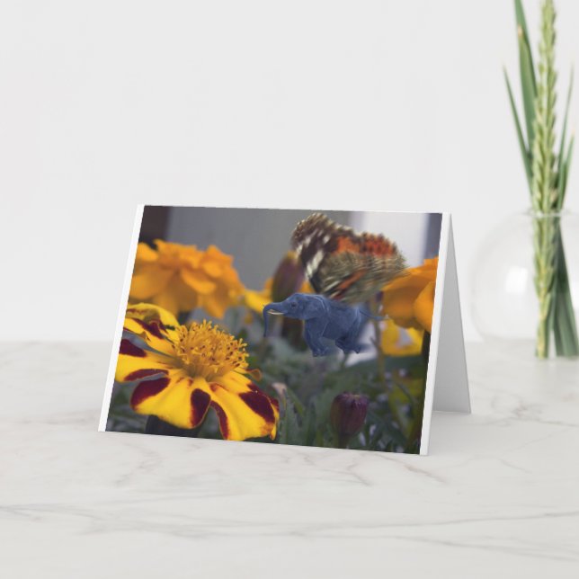 Carte Buttephant (Devant)