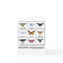 Butterflies of Chautauqua 