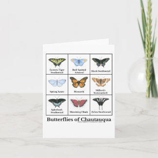 Carte Butterflies of Chautauqua 