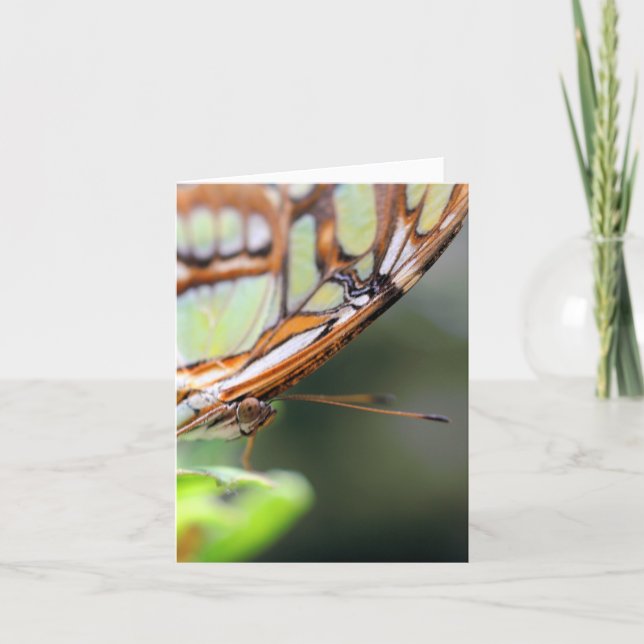 Carte Butterfly Face Nature Photography Note (Devant)
