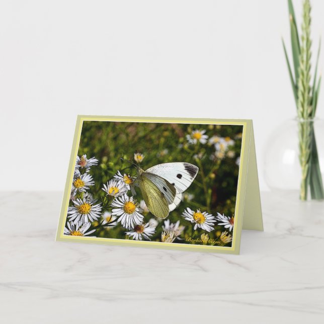 Carte Butterfly Greeting :Card (Devant)