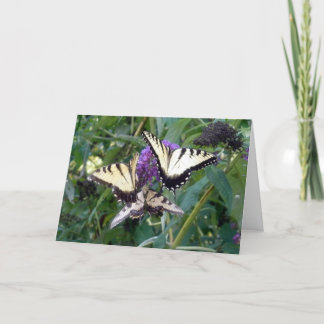 Carte butterflys de trio