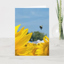 Carte BuZy Bee Photo Blank Greeting Card/Note Card