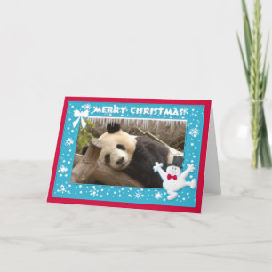 Carte c-panda-278-b